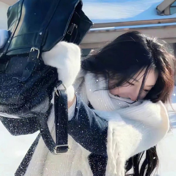 征服海报